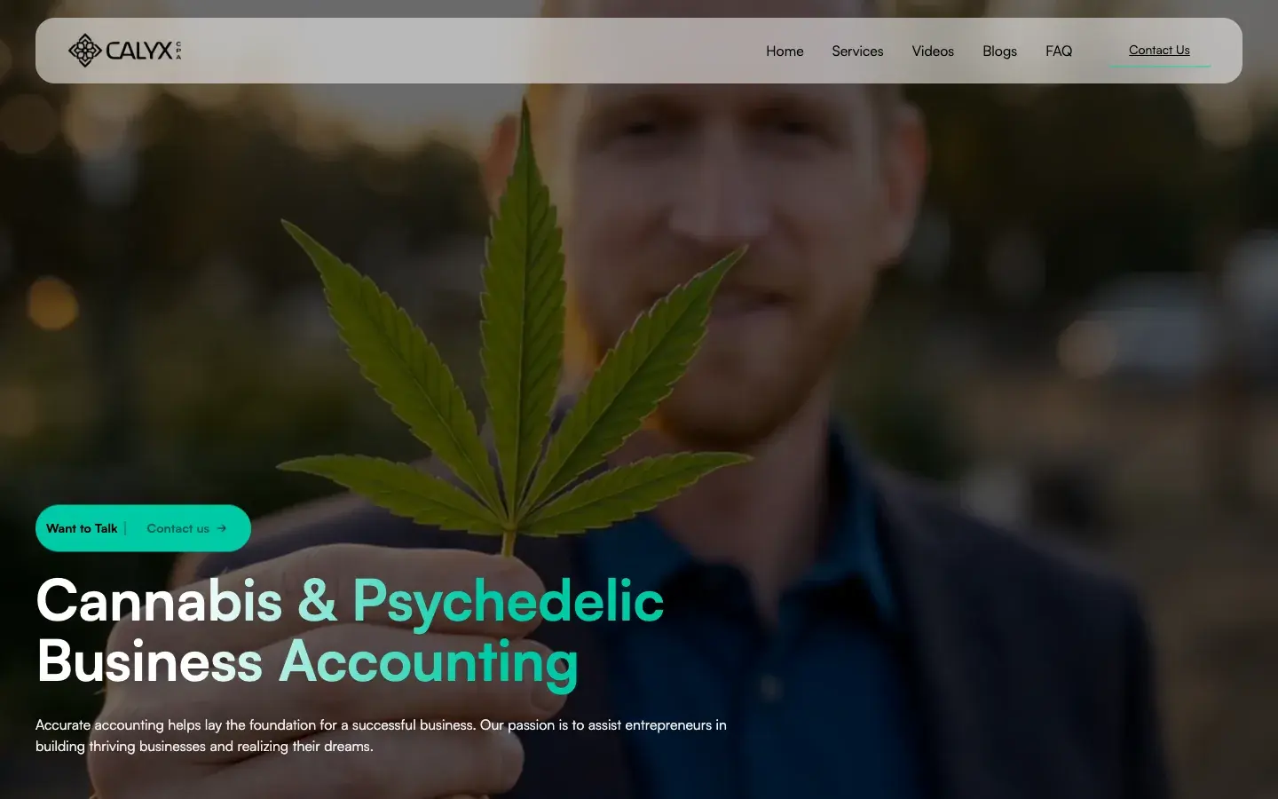 Calyx CPA website screenshot