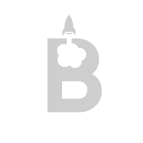 Beyind Partner Logo