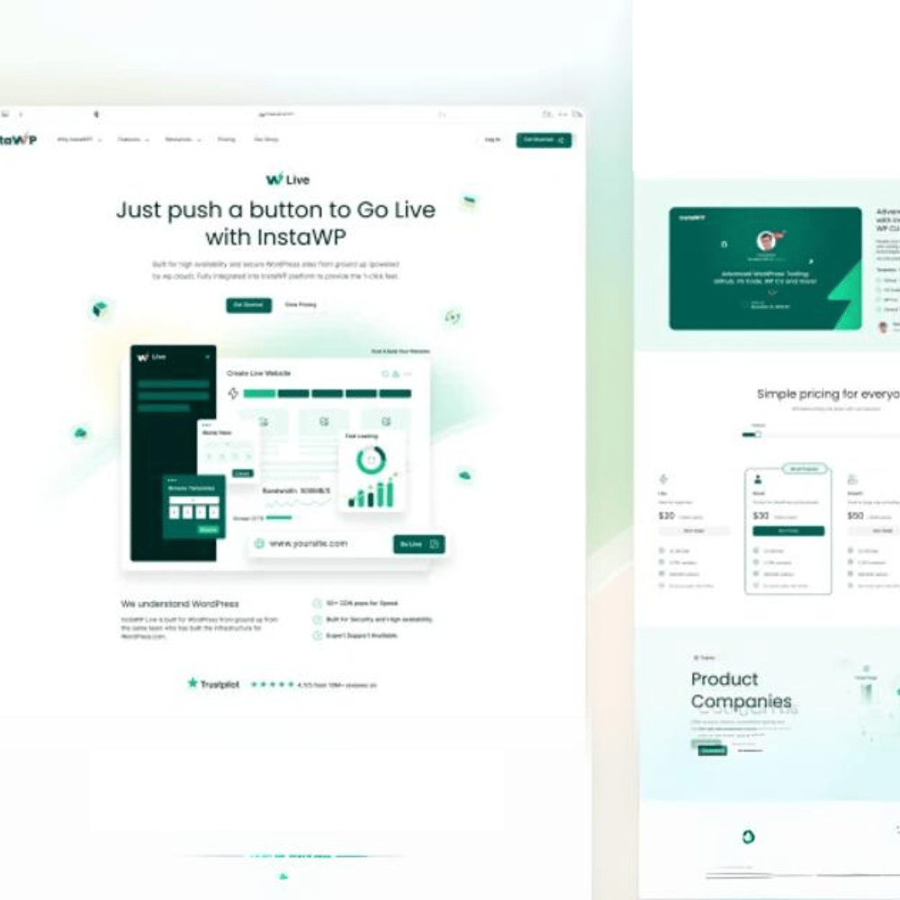 Web Design & I.T. Support
